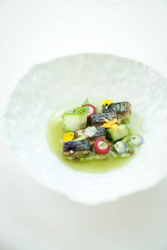 ADOUR-romane-lesellier-balthazar-agence-5665