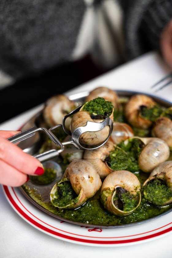 Escargots-coquilles