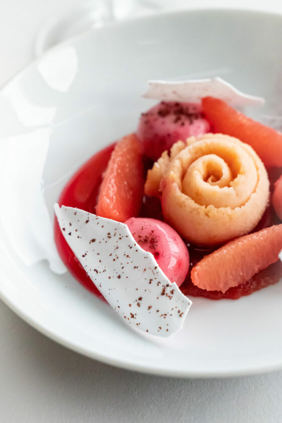 Ducasse-sur-Seine-BC_Vacherin-contemporain-pamplemousse-et-hibiscus_03