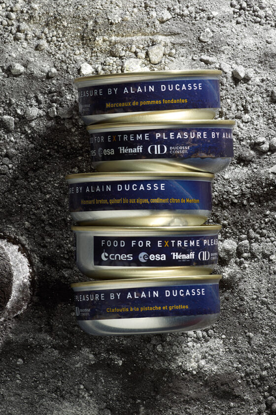 Ducasse Conseil, CNES