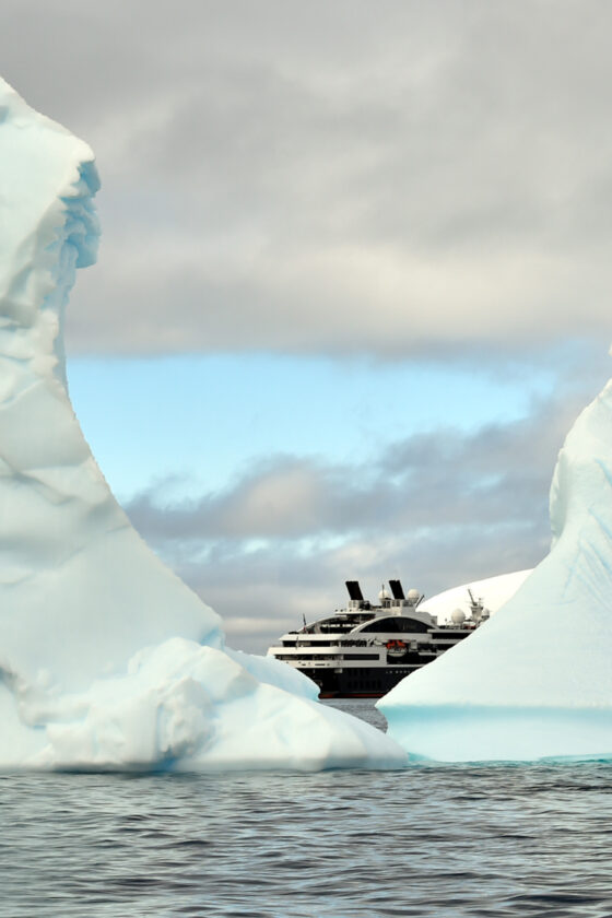 Ducasse Conseil, Le Ponant