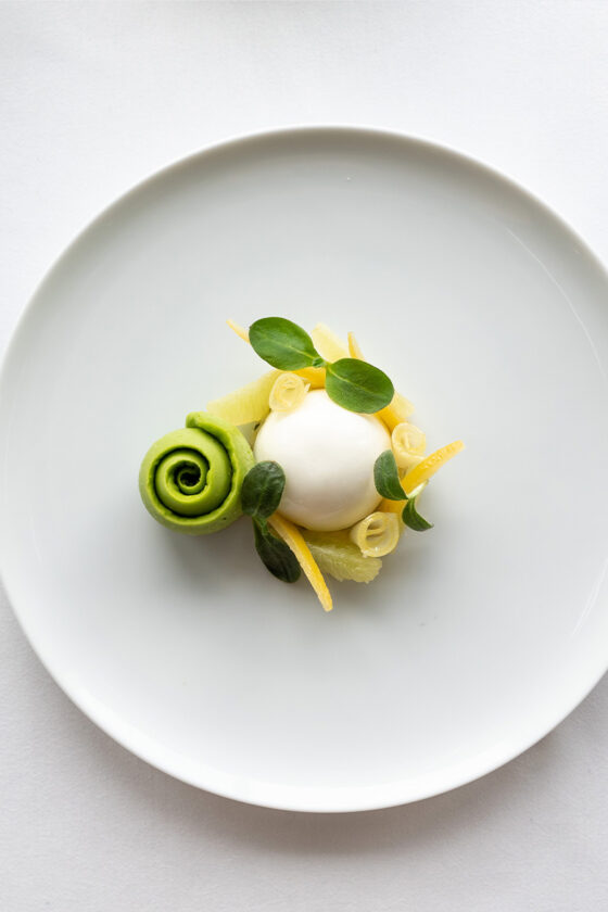 Ducasse Réception - Composition-citrons-et-herbes-fraiches