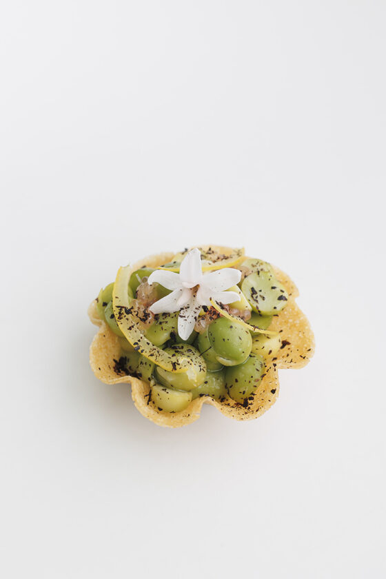 LesOmbres@AliceCasenave19